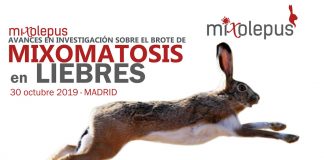 RFEC vuelve a suspender la caza de la liebre