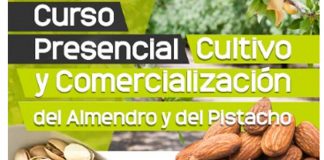 11 a 15 noviembre. Miguelturra (Ciudad Real). Curso cultivo y comercialización almendro y pistacho