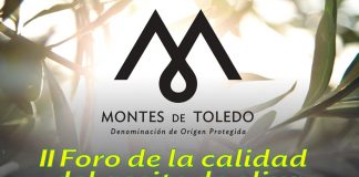 Foro de Calidad AOVE DOP Montes de Toledo, el 17 de octubre