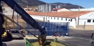 Calcula los precios mínimos a los que se debería pagar la uva esta campaña uva