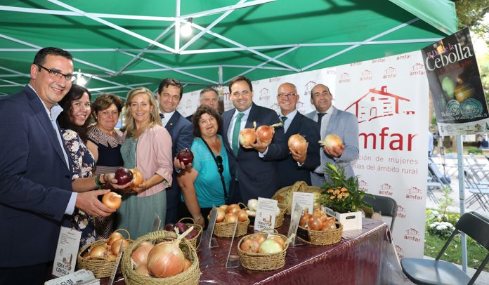feria cebolla pp