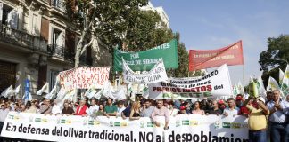 Miles de olivareros reclaman en Madrid precios justos