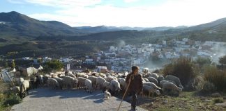 Planas apuesta por empoderar a mujeres para impulsar transformación medio rural