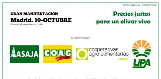 Miles de agricultores exigirán en Madrid precios justos por un olivar vivo