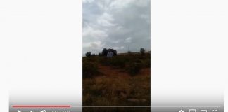 Robo doméstico de uvas en La Mancha