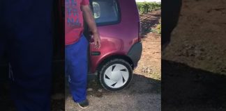 Robando melones en La Mancha a plena luz del día