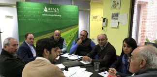 ASAJA CLM considera que aunque el almacenamiento privado debería mejorar los precios del aceite, son necesarios más mecanismos