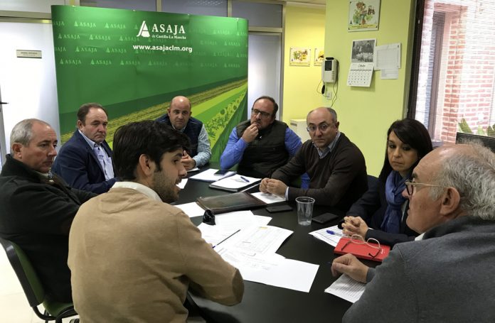 sectorial aceite asaja clm 21102019