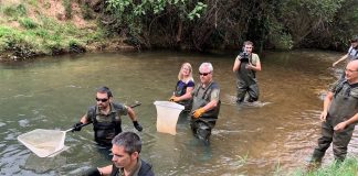 Garantiza compatibilidad entre conservación de trucha común y su pesca deportiva