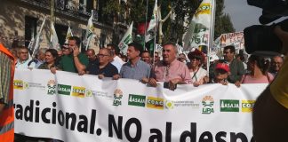 UPA CLM: “Movilización del sector olivarero cala en la Comisión Europea”