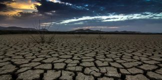 Fallados premios del Concurso Nacional de Fotografía sobre Día Humedales