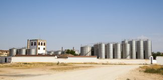 ALTOSA (Tomelloso), entre los principales compradores de uva de España