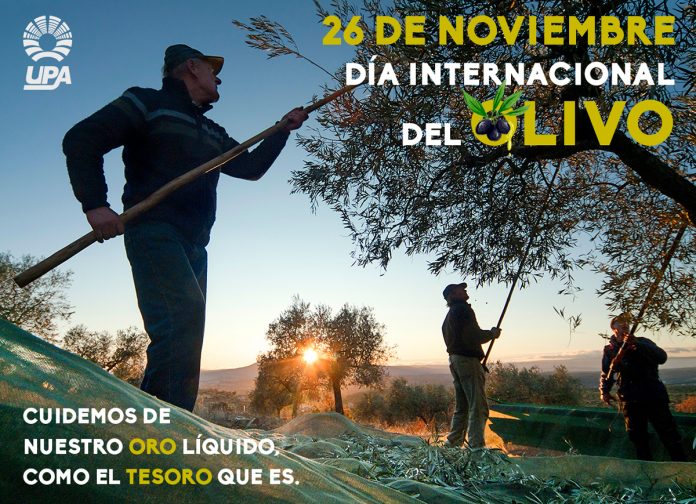 Banner-Dia-del-Olivo-UPA-alta
