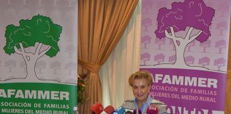 AFAMMER, implicada en celebración Día Internacional Eliminación de Violencia contra mujer