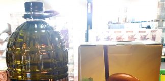 Importante cooperativa ciudadrealeña inicia recogida de aceituna