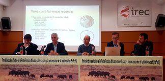 Científicos, cazadores, gestores y conservacionistas unen fuerzas para prevenir peste porcina