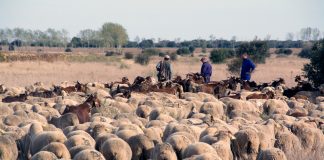 INTEROVIC y UPA unen sus esfuerzos contra el despoblamiento