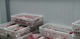 CEOE Cuenca avanza ligero incremento de exportaciones con respecto a 2018