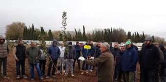Gran éxito de talleres de poda almendro de CRISARA y PRUNOTEC
