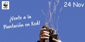 Plantación simultánea por el clima, de WWF, incluirá Guadalajara y Daimiel