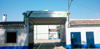 García-Page inaugura ampliación de cooperativa almazarera ‘La Encarnación’, de Herencia