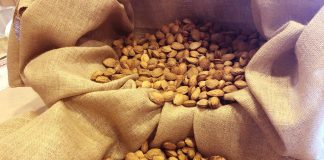 La campaña 2023/2024 de la almendra a nivel mundial asciende a 1,5 millones de toneladas almendras