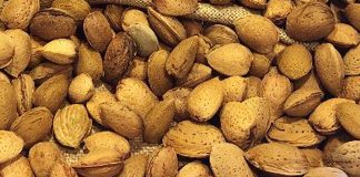 Repeticiones de precios en las almendras que, de momento, cotizan almendras