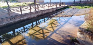 Finalizan obras reparación en Arroyo de la Retuerta y río Cañamares