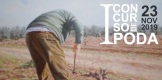 Concurso de poda de viñedo, en Torralba de Calatrava (Ciudad Real)