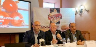 Gobierno Castilla-La Mancha impulsará el reconocimiento de la ‘Cebolla de La Mancha’