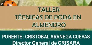 Organizan un taller de poda en almendro en Tomelloso