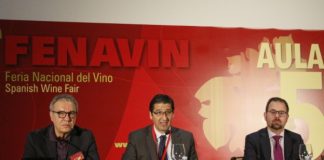 Diputación Ciudad Real prepara FENAVIN 2021 con estrategia de desarrollo