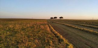 La IGP Lenteja de La Manchuela, un poco más cerca