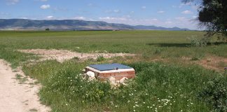 Pide control pozos de riego del ámbito de Tablas de Daimiel