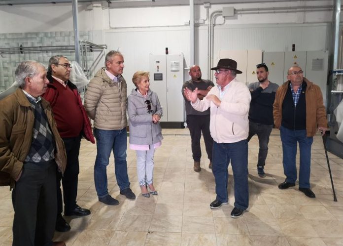 quintanilla almedina