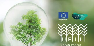 Veinticinco profesores de UCLM, inmersos en  proyecto europeo sobre bioeconomía forestal