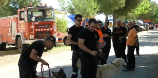 Emergencias coordinó el rescate de 15 personas perdidas en el monte mientras buscaban setas