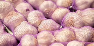 Investigan a una familia por la desaparición de 2.500 kilos de ajo ajos