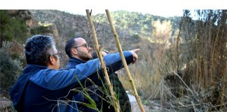 Evalúa daños producidos por la crecida de ríos Mundo y Segura