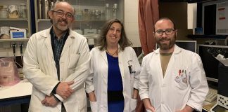 Corroboran que consumo de vino con moderación es bueno para salud