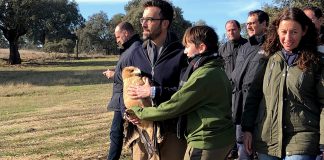 Renovarán planes de recuperación de especies animales amenazadas más emblemáticas