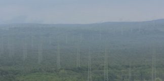 Intensificarán esfuerzos para detener pérdida de biodiversidad y restaurar los ecosistemas