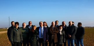 Advierten de un posible fraude en la exportación de ajo chino