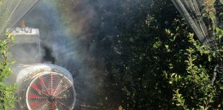 Innoseta: la “wikipedia” de aplicación de fitosanitarios en agricultura sigue avanzando