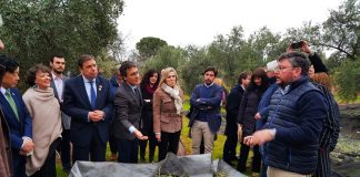 Confía que almacenamiento privado de aceite contribuya a regular el mercado