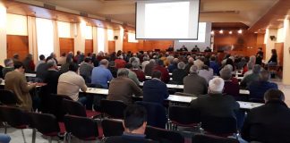 Llaman a unidad del sector para afrontar situación crítica del aceite