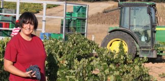 Últimos días para presentar proyectos al Programa TalentA