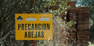 UPA denuncia el “caos” que impera en el sector apícola