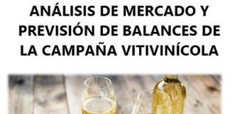 Cooperativas Agro-alimentarias Castilla-La Mancha analizará la previsión de balances de la campaña vitivinícola