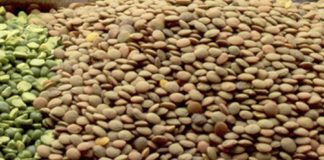 Brecha de precios de alimentación entre productor y consumidor se duplica